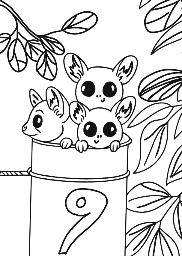 Kruger inspired Colouring in Pad