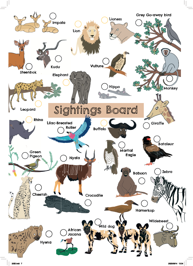 My Holiday Diary : Kruger Edition 2025