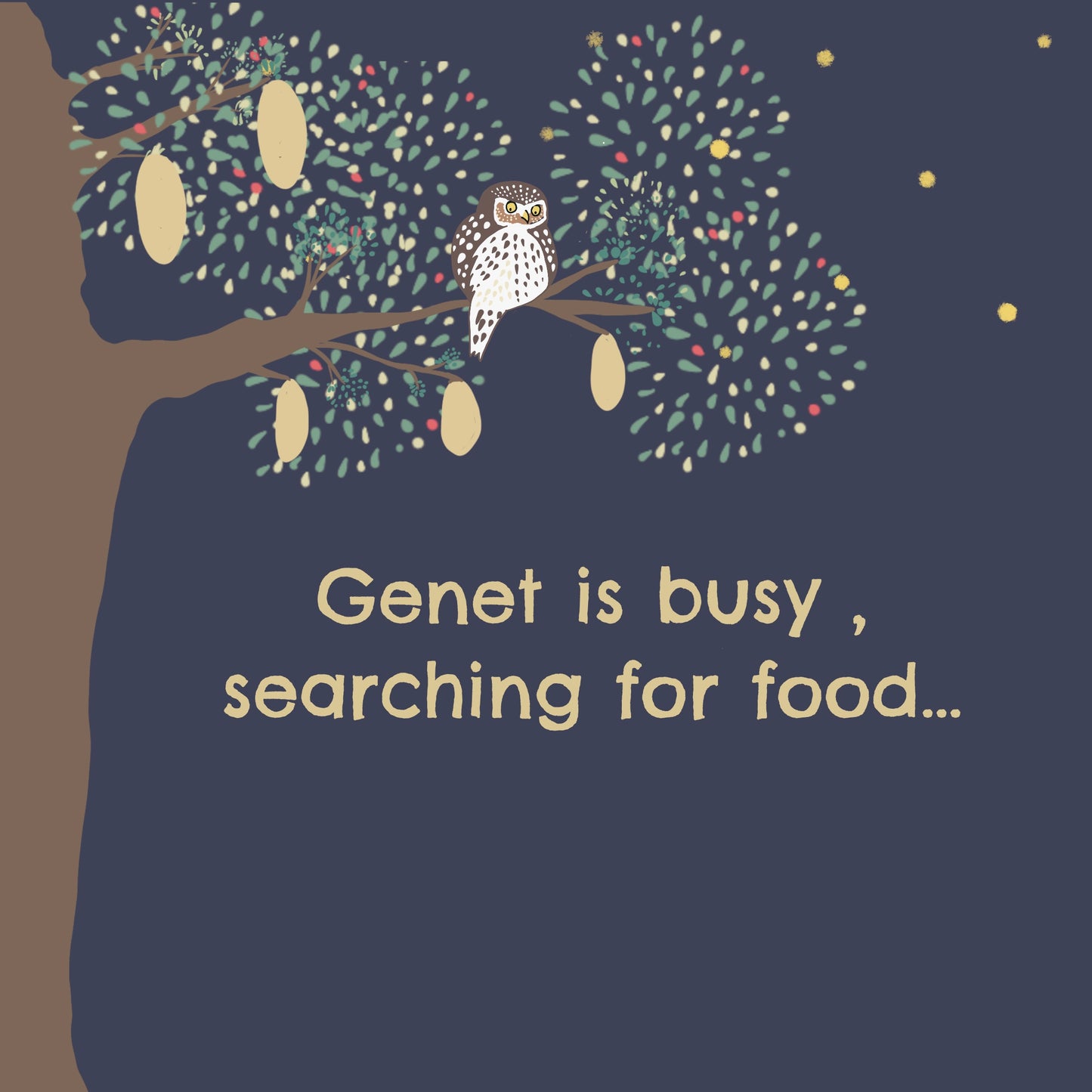 It’s Bedtime in the Bushveld…