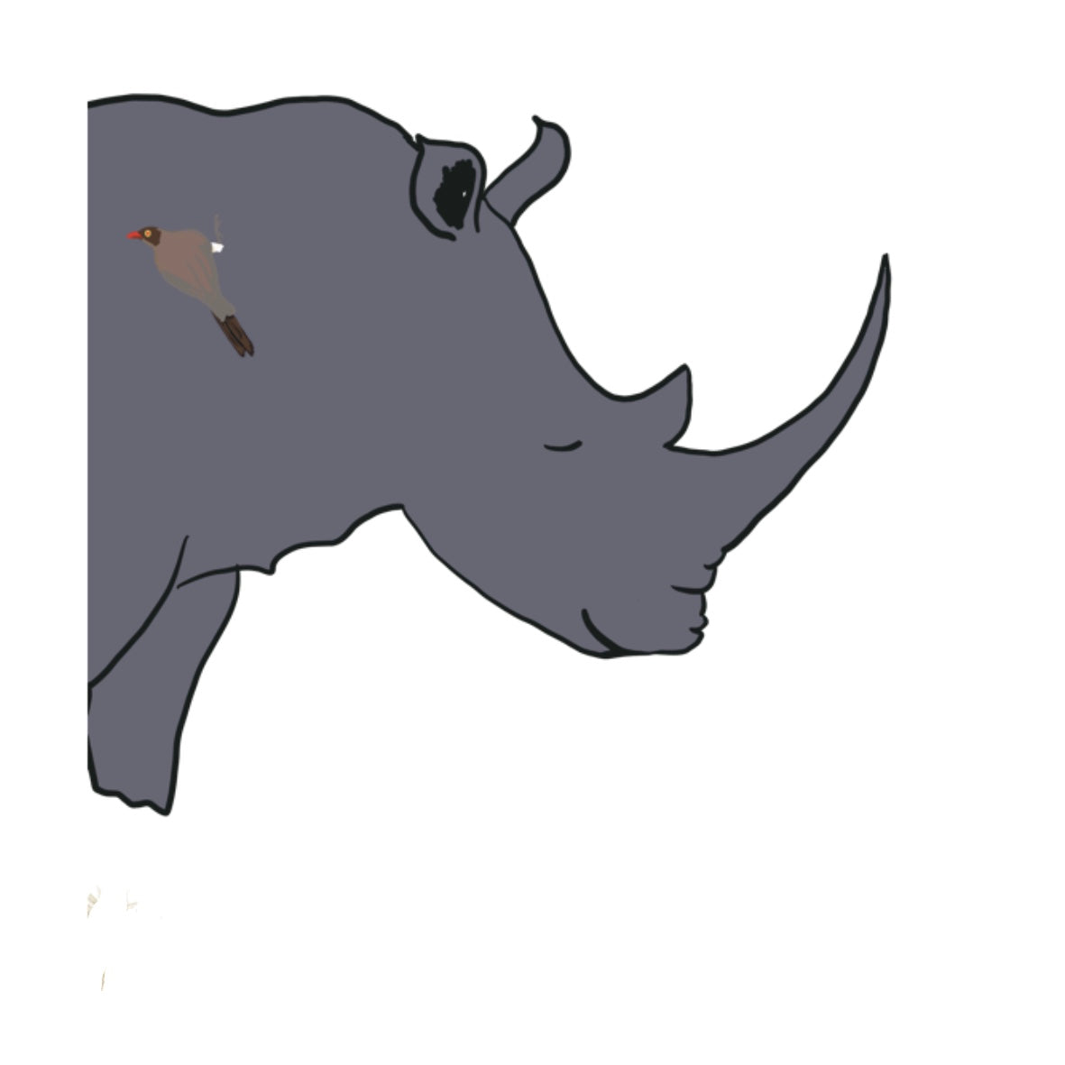 Kwazulu Natal
