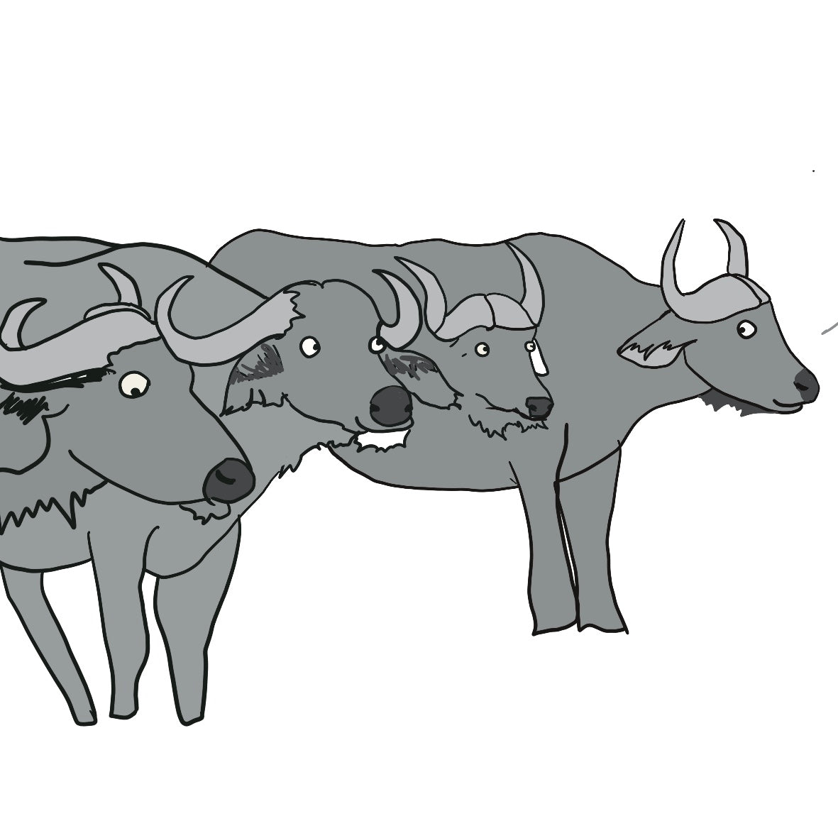 Greater Lowveld Region