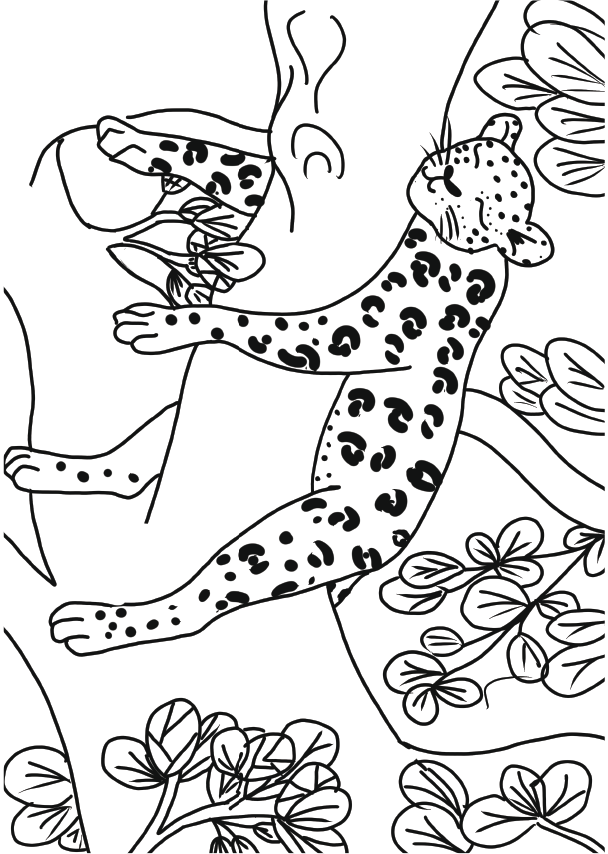 Kruger inspired Colouring in Pad