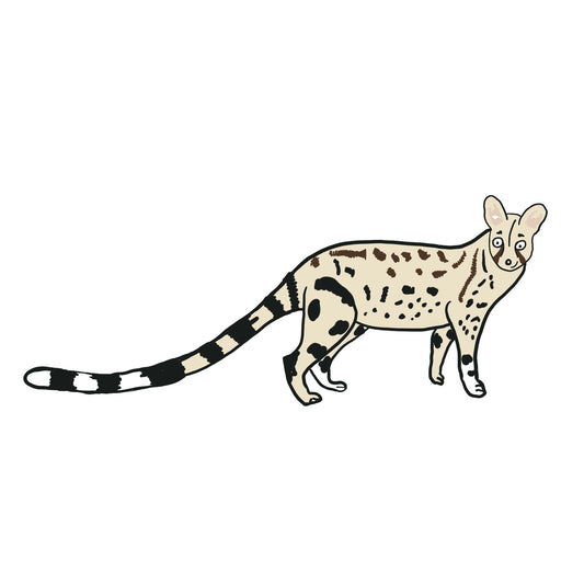 DTF printed Genet