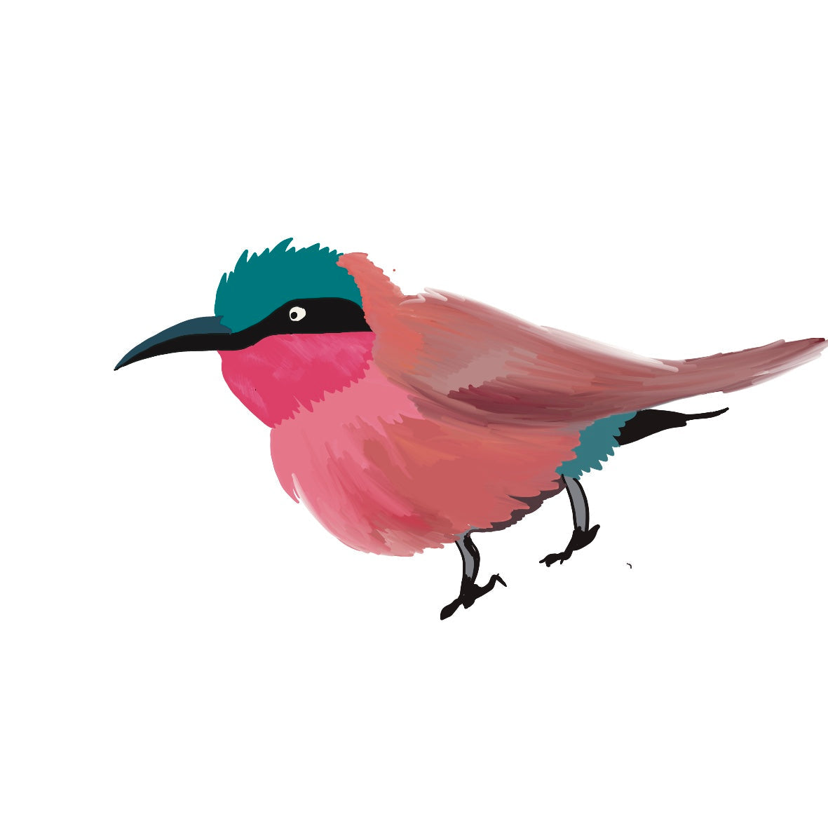 DTF printed Carmine Bee Eater